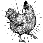 A line drawing of a chicken